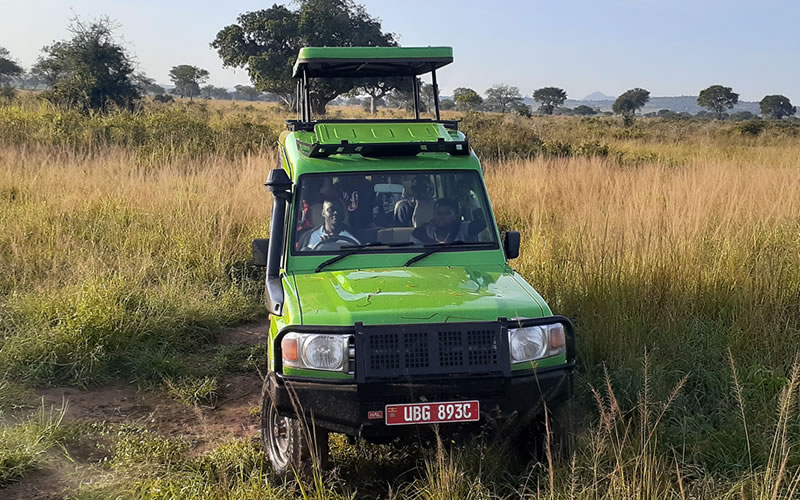 Safari Car Hire