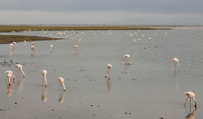 4 Days Lake Nakuru National Park Tour