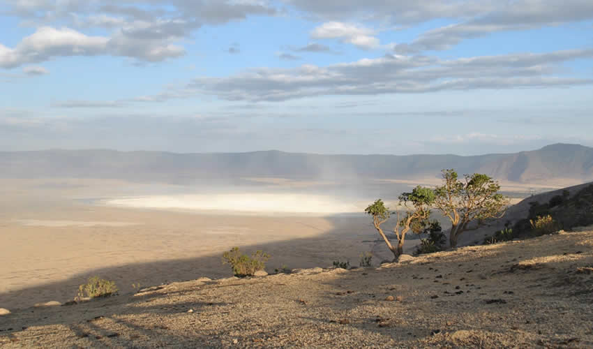 3 Days Ngorongoro Express “Garden Of Eden” Tour